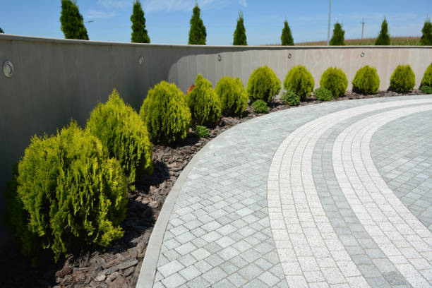 Reasons to Select Us for Your Driveway Paving Requirements in Nowthen, MN